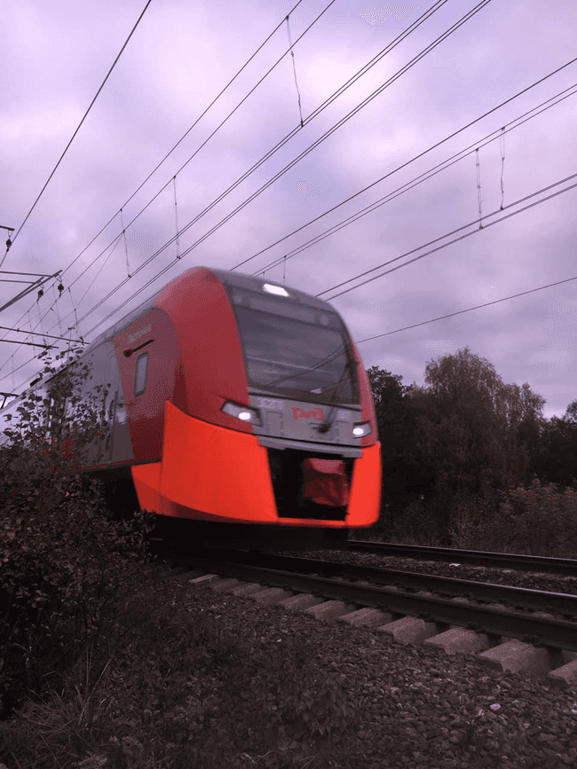 train